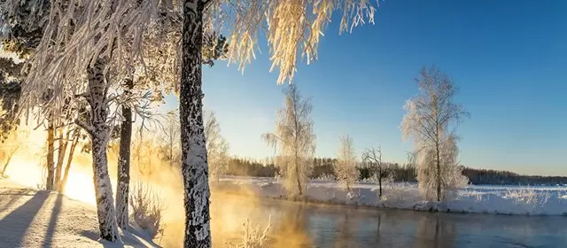 Horóscopo para Sábado 20 Dezembro 2025