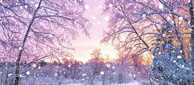 Horóscopo para Segunda-feira 22 Dezembro 2025