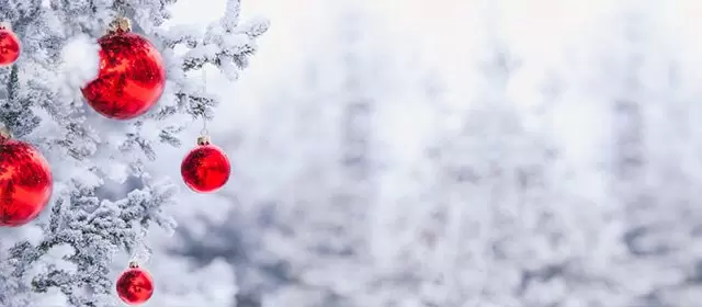 Horóscopo para  Terça-feira 23 Dezembro 2025