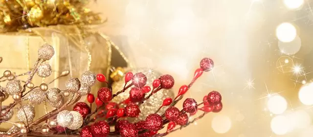 Horóscopo para Quarta-feira 24 Dezembro 2025