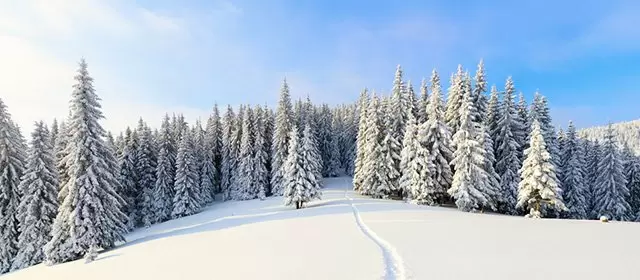 Horóscopo para Terça-feira 30 Dezembro 2025