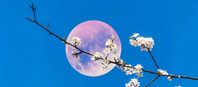 Calendário da Lua Cheia 2026
