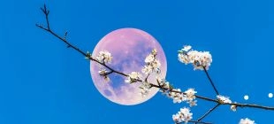 Calendário da Lua Cheia em 2026